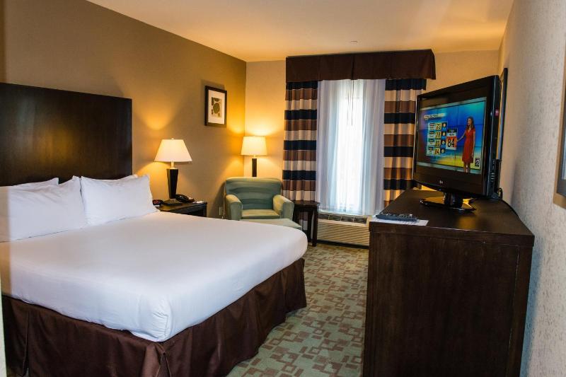 Holiday Inn Express Hotel & Suites Houston NW Beltway 8-West Road By IHG - image 39