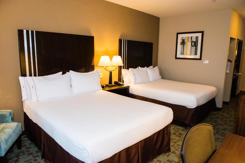 Holiday Inn Express Hotel & Suites Houston NW Beltway 8-West Road By IHG - image 9
