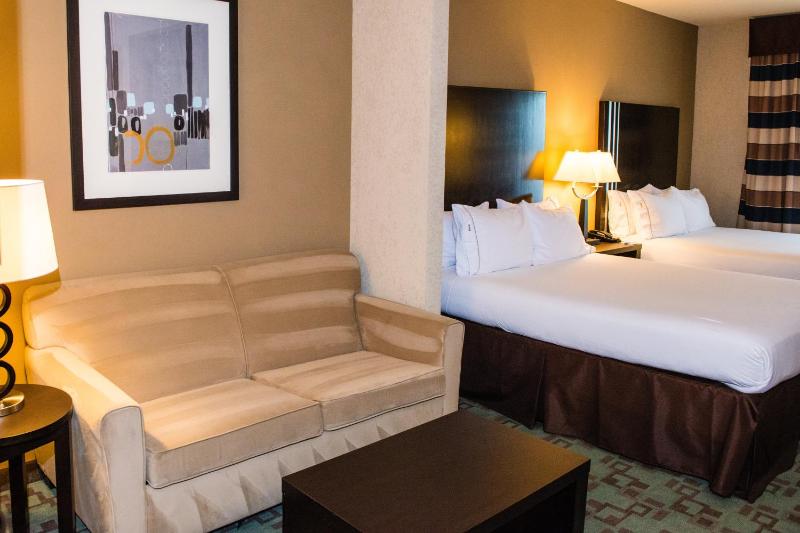 Holiday Inn Express Hotel & Suites Houston NW Beltway 8-West Road By IHG - image 31