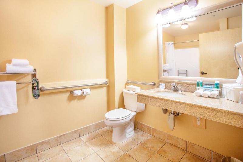 Standard King Room with Mobility Accessible Tub image 3