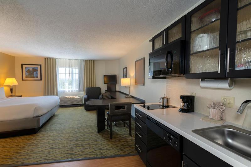 King Studio Suite image 2