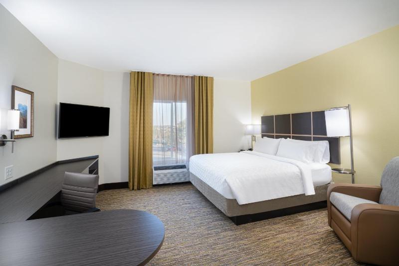 King Studio Suite image 4