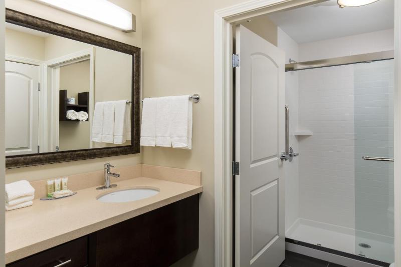King Studio Suite image 2