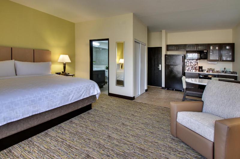 King Studio Suite image 2