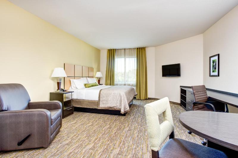 King Studio Suite image 4