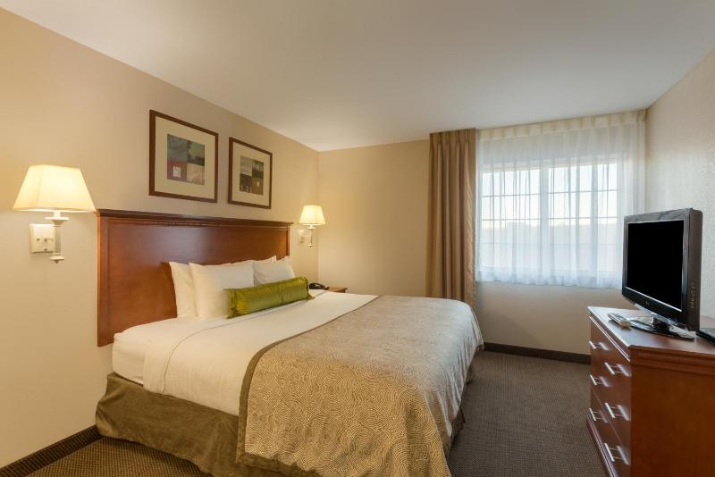 One-Bedroom King Suite image 1