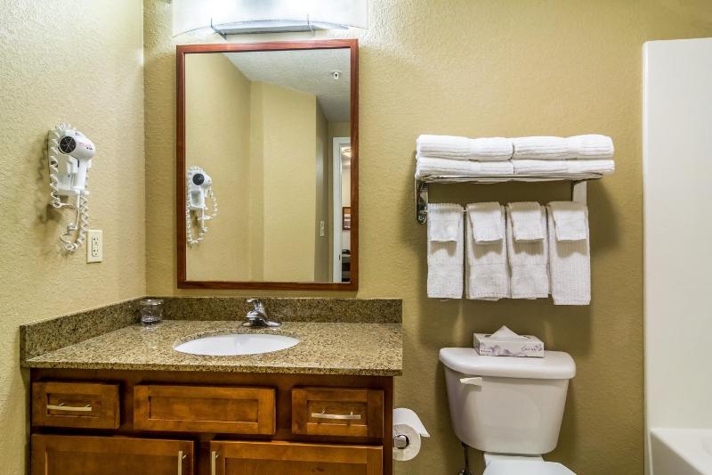 King Studio Suite image 2
