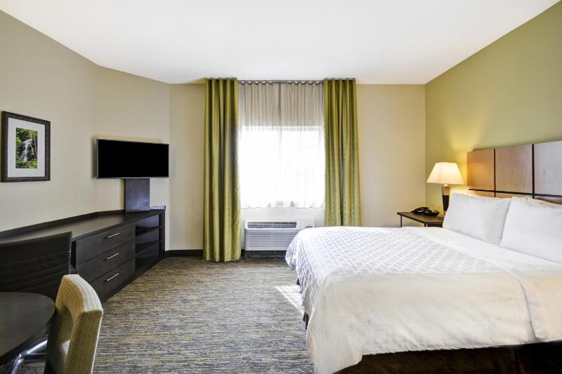 King Studio Suite image 4