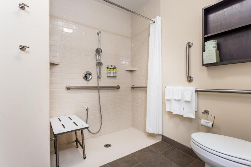 Studio King Suite with Accessible Roll in Shower - Non-Smoking image 4
