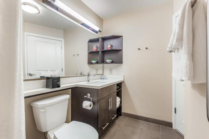 King Studio Suite image 2