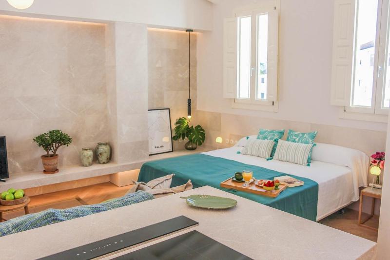 Studio Apartment with Terrace image 1
