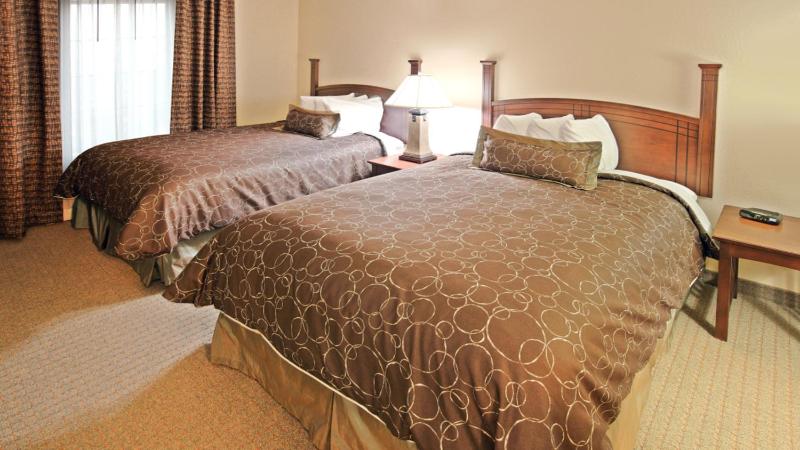 One-Bedroom Double Suite image 1