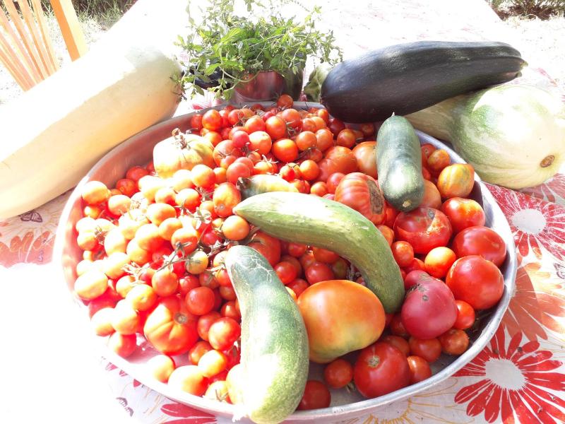 Agrotourism Himara - image 6