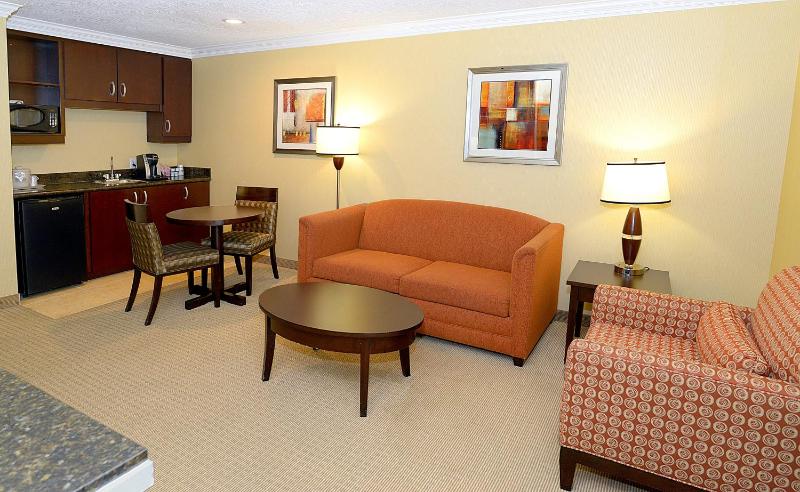 One-Bedroom King Suite image 2