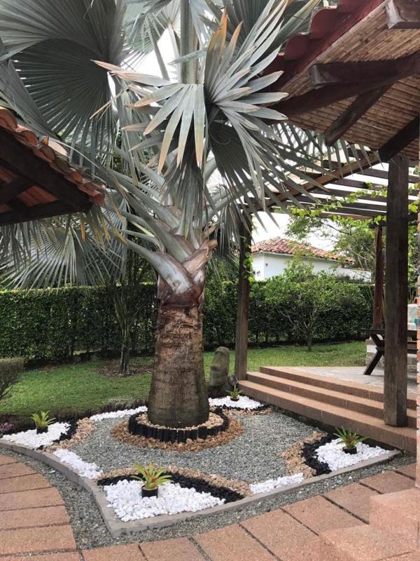 Casa Mar Verde - image 20