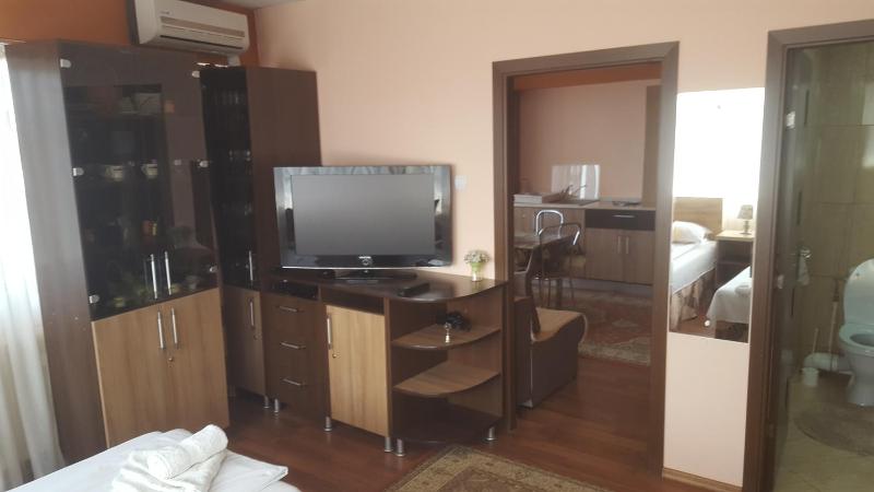 Deluxe Apartment image 3