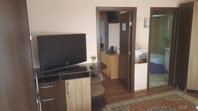 Deluxe Apartment image 4
