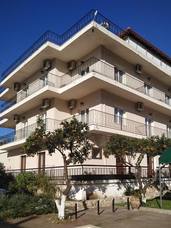 Central Hotel - image 50