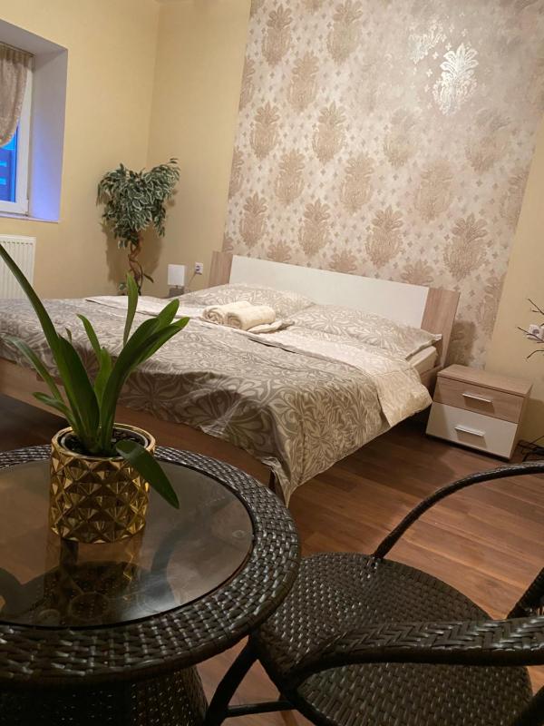 One-Bedroom Apartment image 3