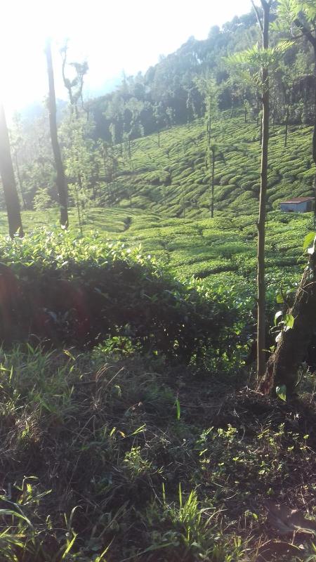 Meghagiri homestay - image 7