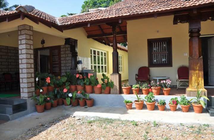 Meghagiri homestay - image 8
