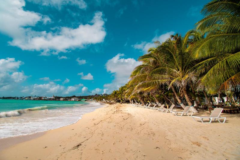 Hotel Reina del Mar By Dorado - image 10