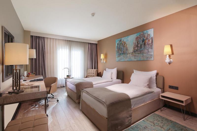 Deluxe Twin Room image 1