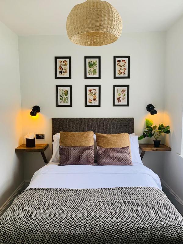 Quirky Double Room  image 1