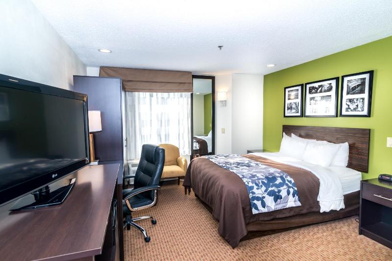 Queen Room - Accessible/Non-Smoking image 3