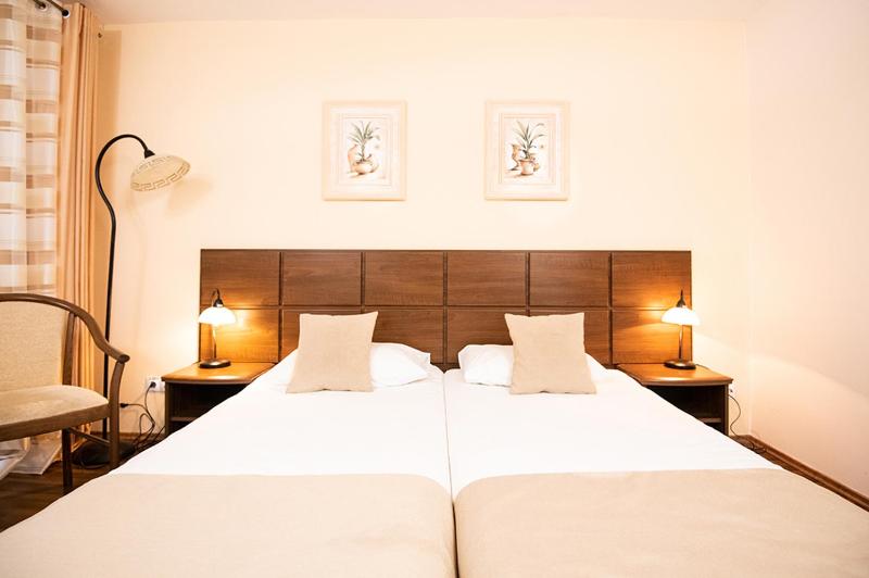 Twin Room with Balcony and Mountain View image 1