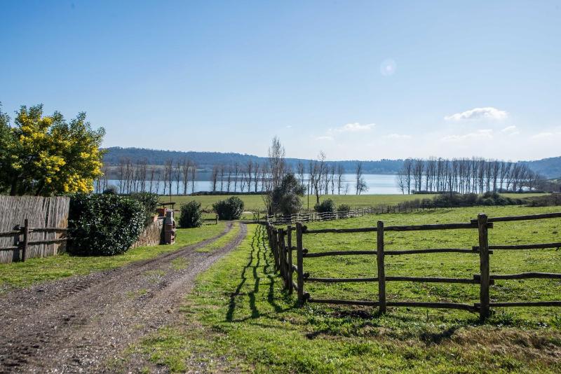 Large One-Bedroom Apartment with Lake View image 4