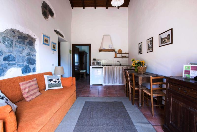 One-Bedroom Apartment image 4