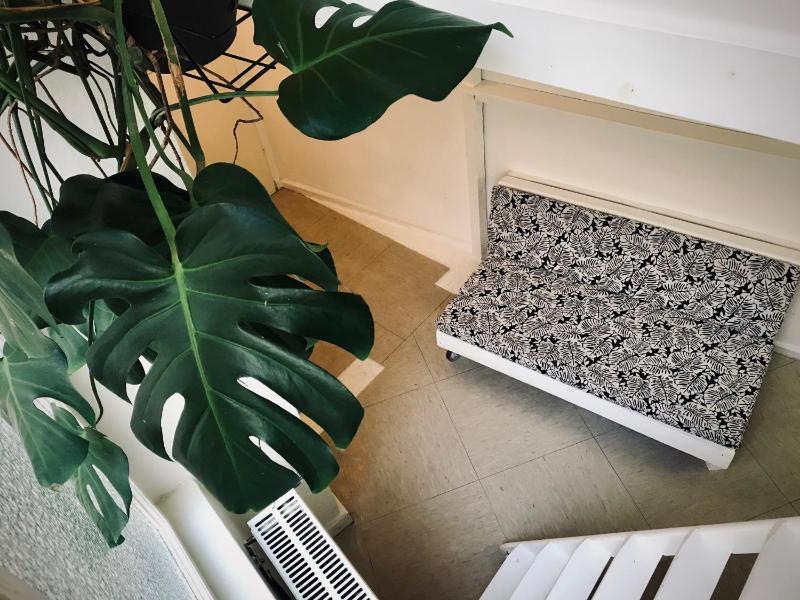 Double Room with Shared Bathroom image 4