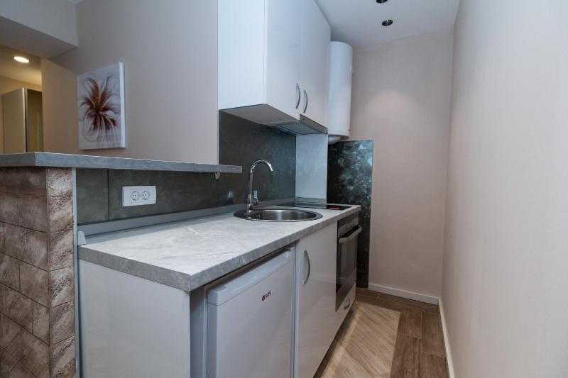 One-Bedroom Apartment image 3