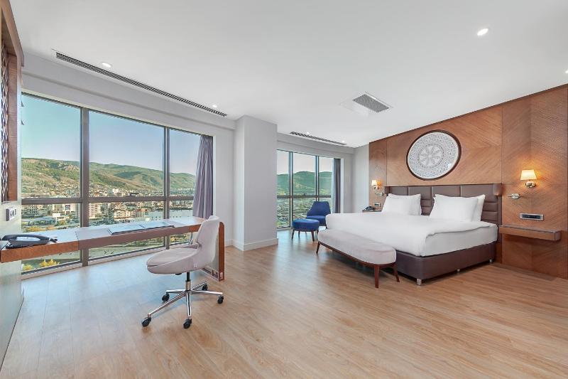 Deluxe Suite image 4