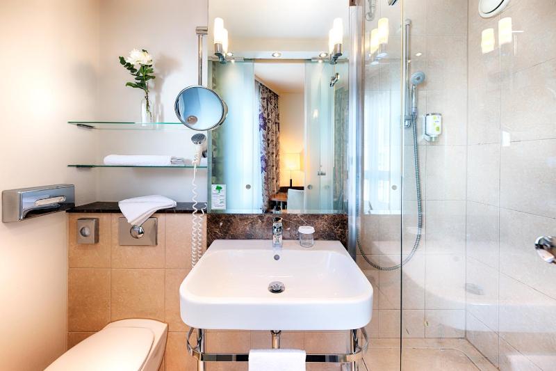 Business Single Room image 2