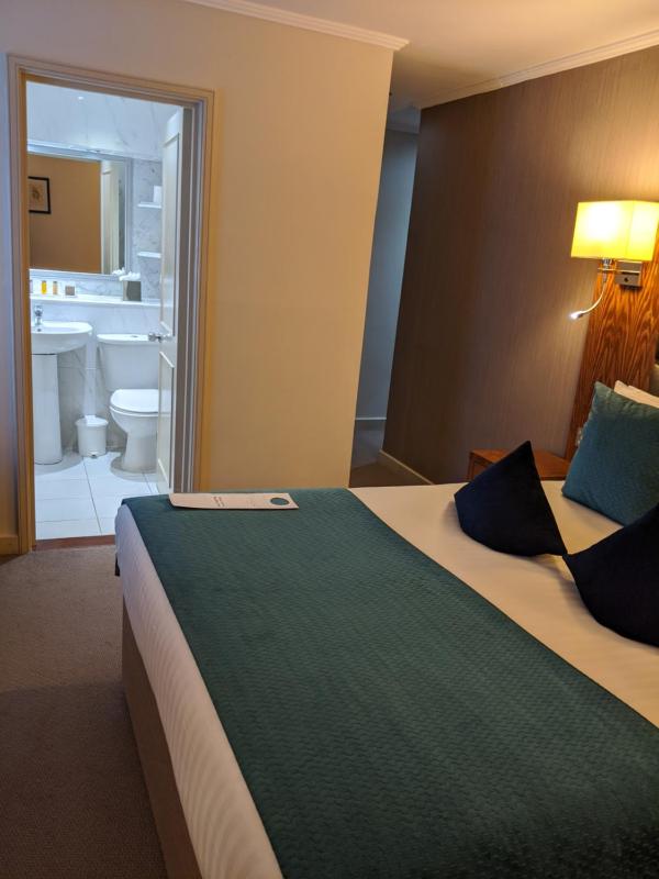 Standard King Room image 1