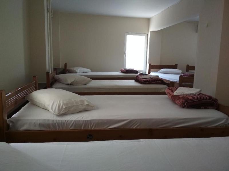 Bunk Bed in Mixed Dormitory Room image 4