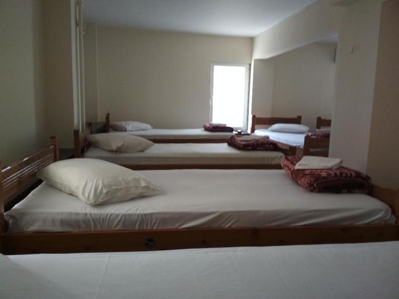 Bunk Bed in Mixed Dormitory Room image 4