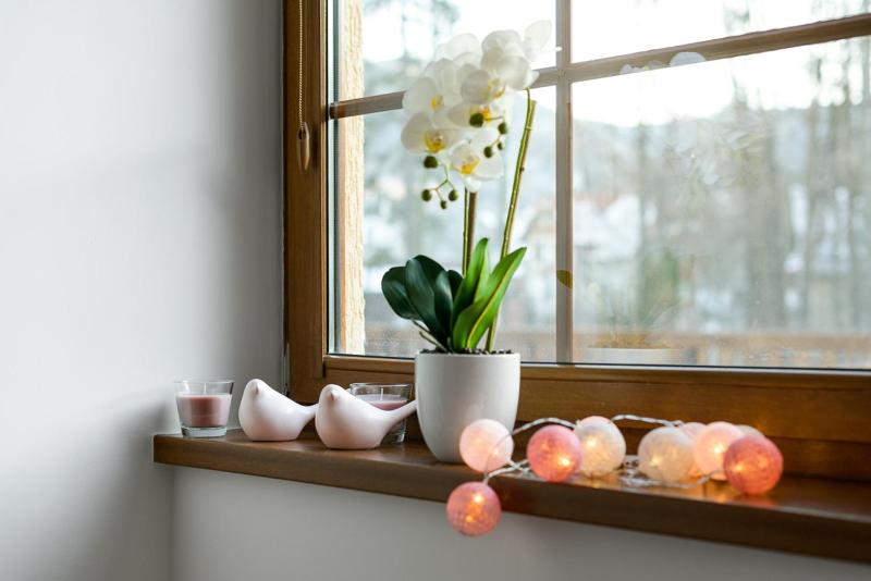 Apartment image 1