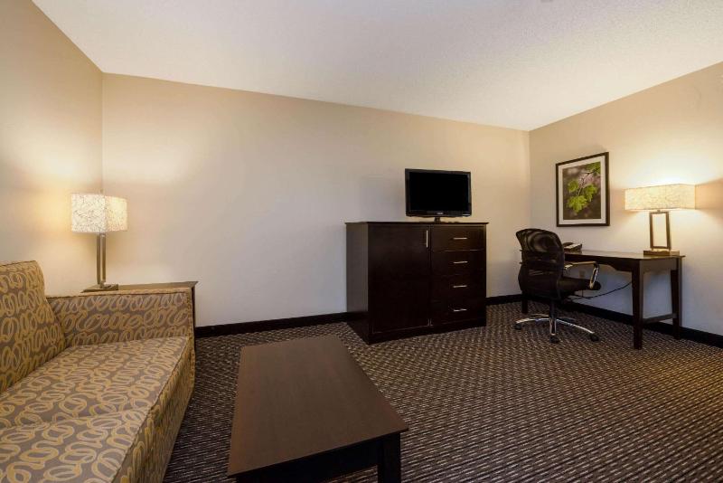 Deluxe King Studio Suite - Non-Smoking image 4