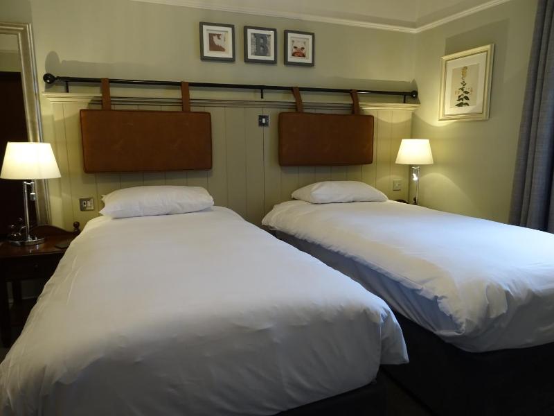 Double or Twin Room image 4