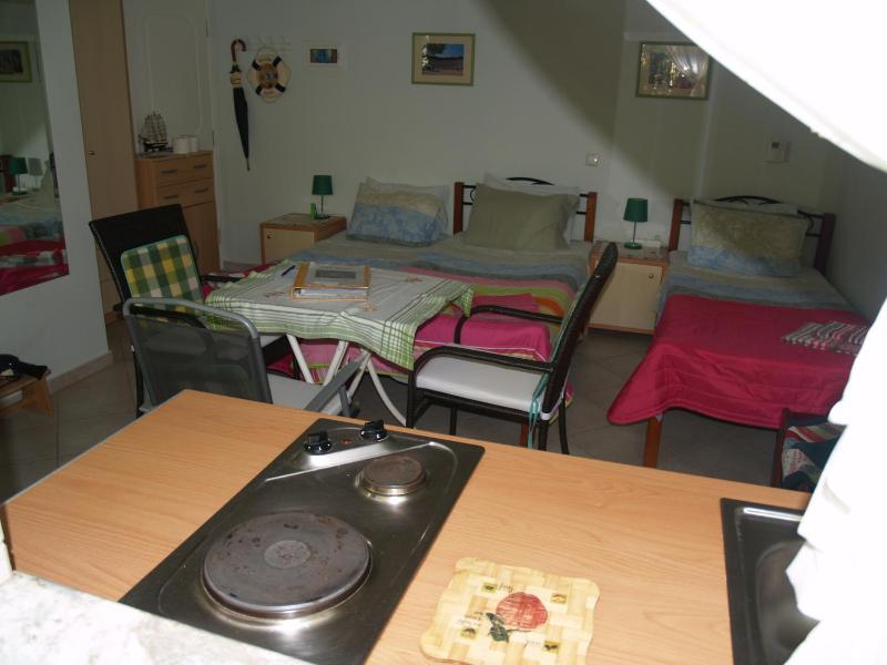 Studio with Terrace image 1
