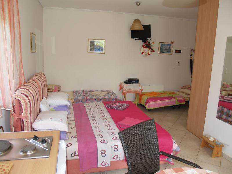 Large Studio with Garden View image 1