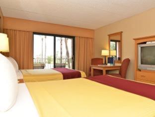 Room #31054113 image 3