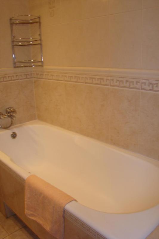 Studio Apartment - Pushkinskaya Street 24B image 2