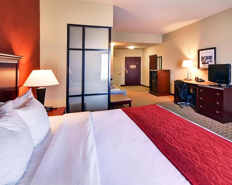 Efficiency King Suite with Kitchenette  image 4