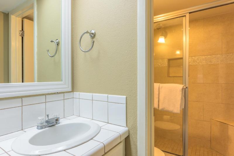 One-Bedroom Apartment image 2