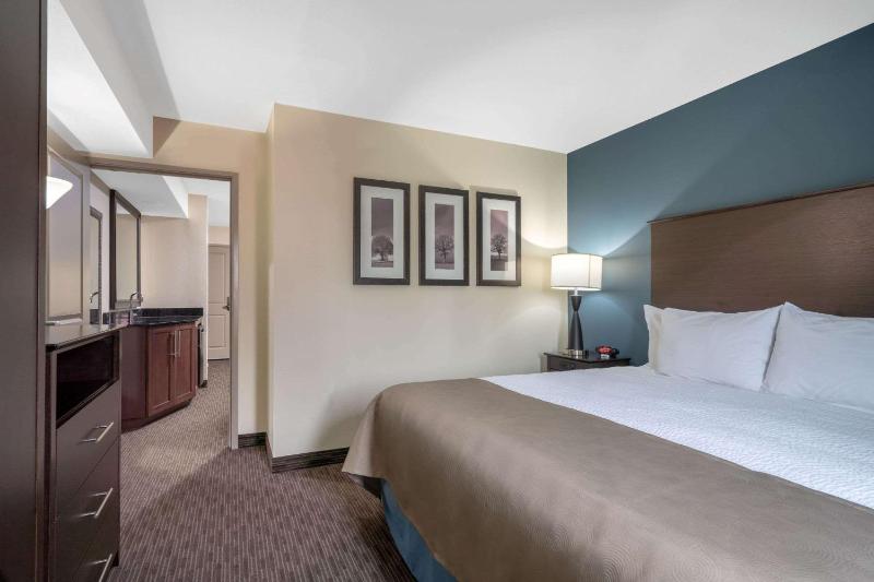 One-Bedroom King Suite with Sofa Bed - Non-Smoking image 2