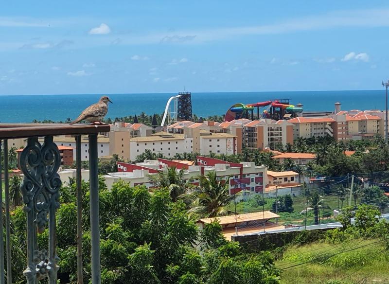 Hotel Santuário das Águias by Nobile - image 36